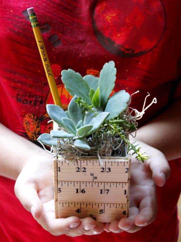 a plant holder made out of wooden ruler pieces with a plant inside