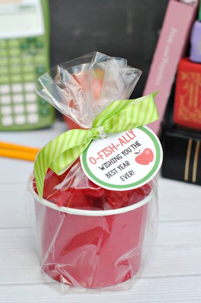 Yummy DIY Back to School Teacher Gifts - EASY GOOD IDEAS