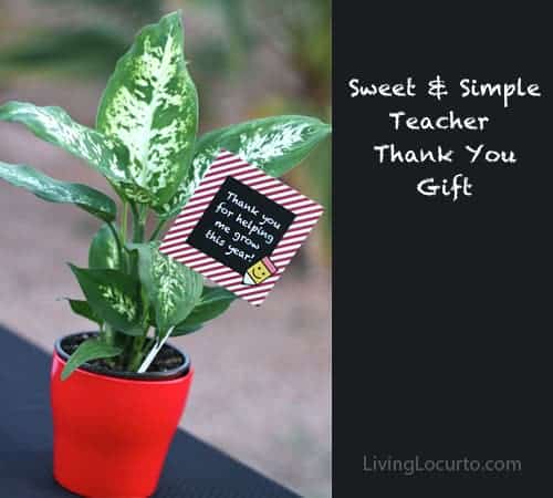 a red plant pot with a green plant and a little sign on a stick