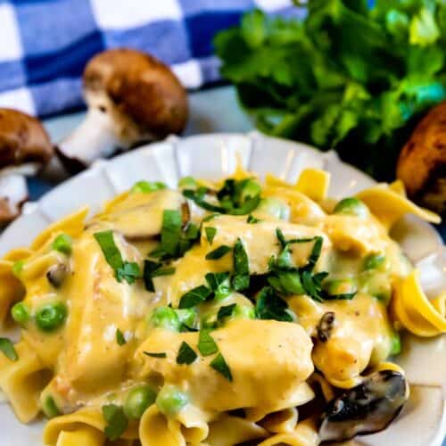 Chicken and Egg Noodles Skillet EASY GOOD IDEAS