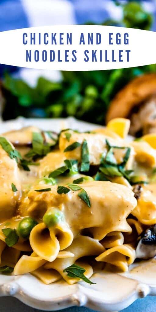 Close up of chicken and egg noodles skillet with recipe title on top of image