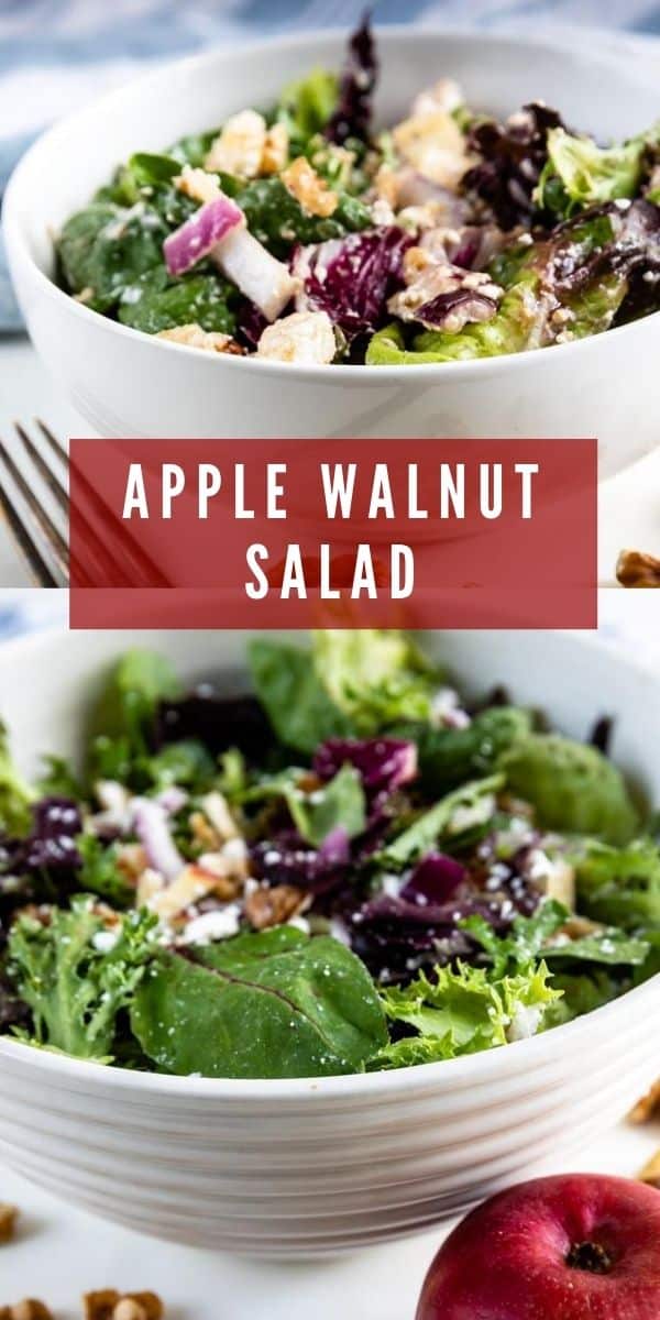 Easy Apple Walnut Salad Recipe EASY GOOD IDEAS