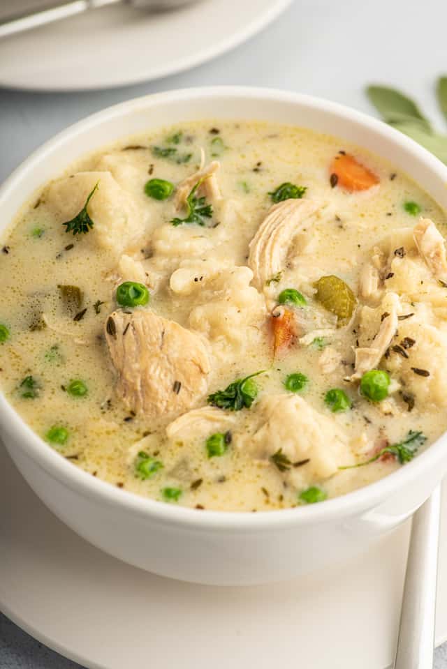 White ceramic bowl filled with chicken and dumplings