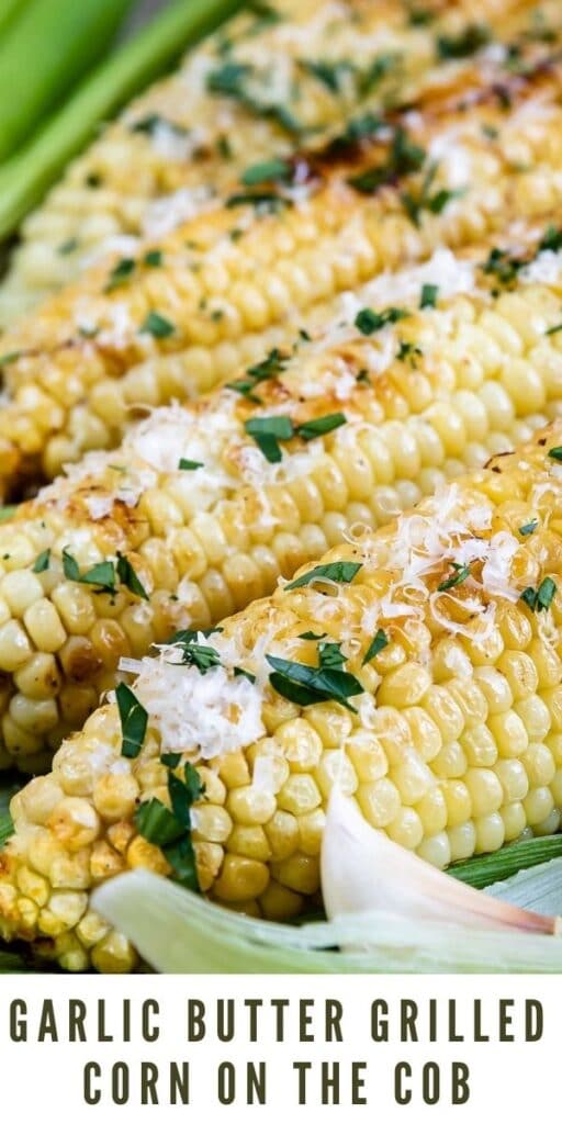Close up shot of garlic butter grilled corn on the cob