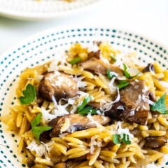 Two plates of mushroom orzo served on a table