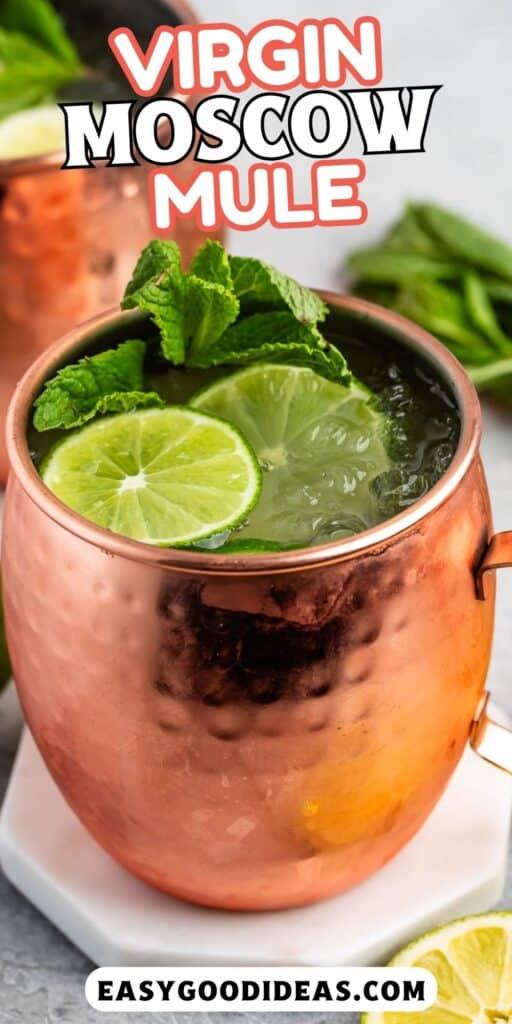 Moscow mule in a bronze cup with sliced limes and garnish in the drink with words on the image.