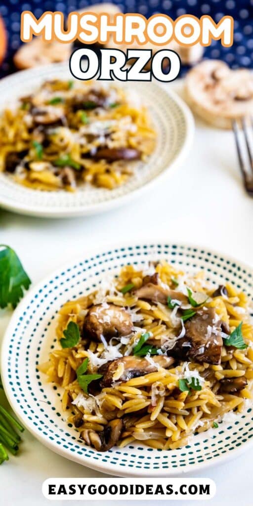 orzo laid out on a spotted white plate with mushrooms with words on the image.