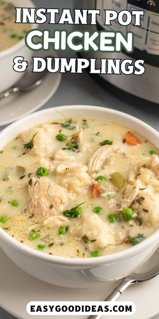 chicken and dumplings in broth in a white bowl with words on the image.