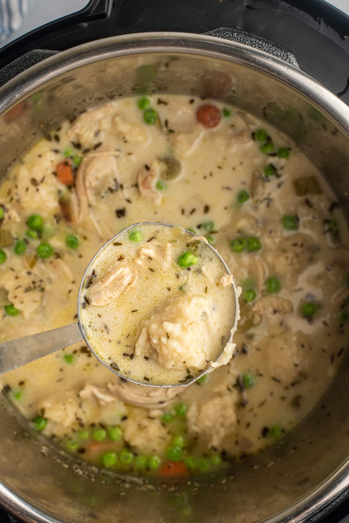 chicken and dumplings in broth in an instant pot.