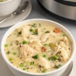 chicken and dumplings in broth in a white bowl.