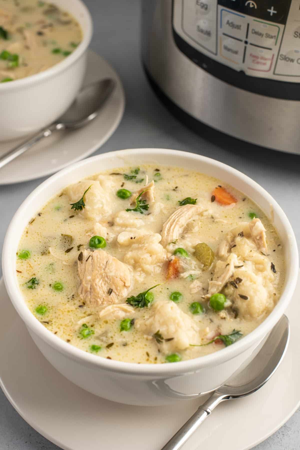 chicken and dumplings in broth in a white bowl.