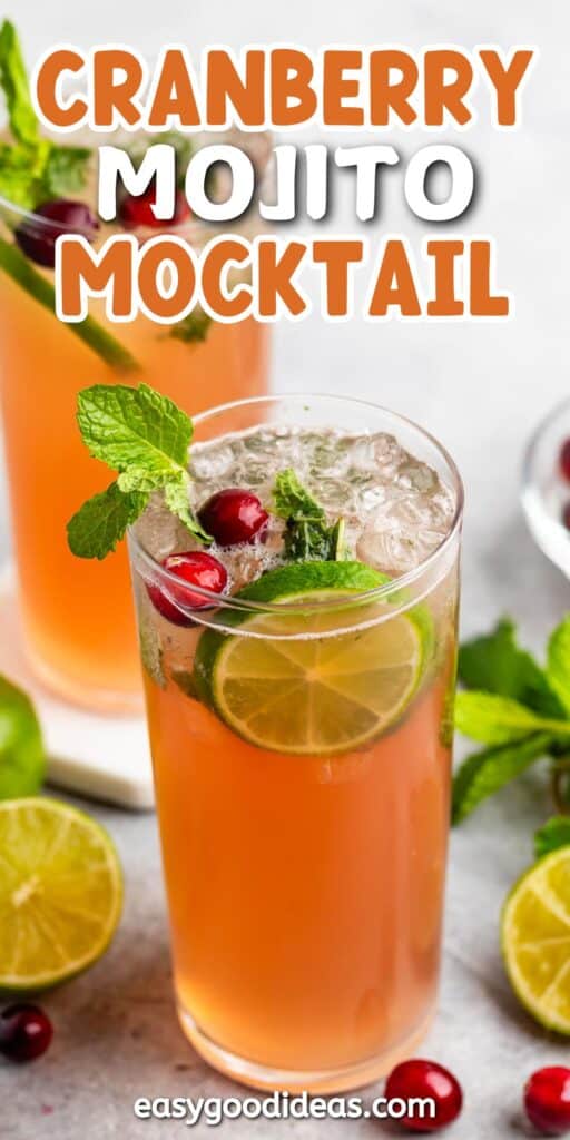 A refreshing cranberry mojito mocktail garnished with fresh mint leaves, lime slices, and cranberries in a tall glass. Another glass and lime slices are visible in the background. Text on image: Cranberry Mojito Mocktail.