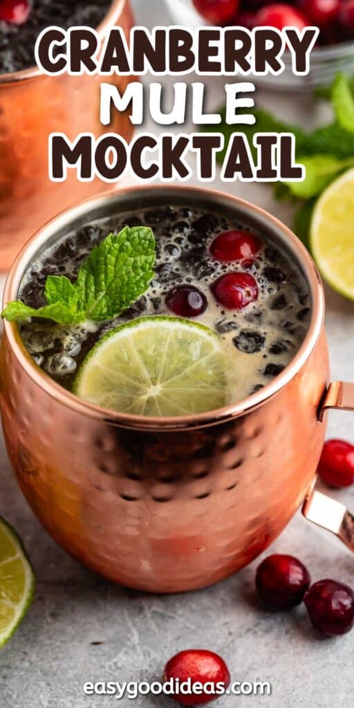 A copper mug filled with a cocktail garnished with lime slices, cranberries, and mint leaves. Fresh cranberries and lime slices are scattered around. The image has text that says Cranberry Mule Cocktail at the top and easygoodideas.com at the bottom.