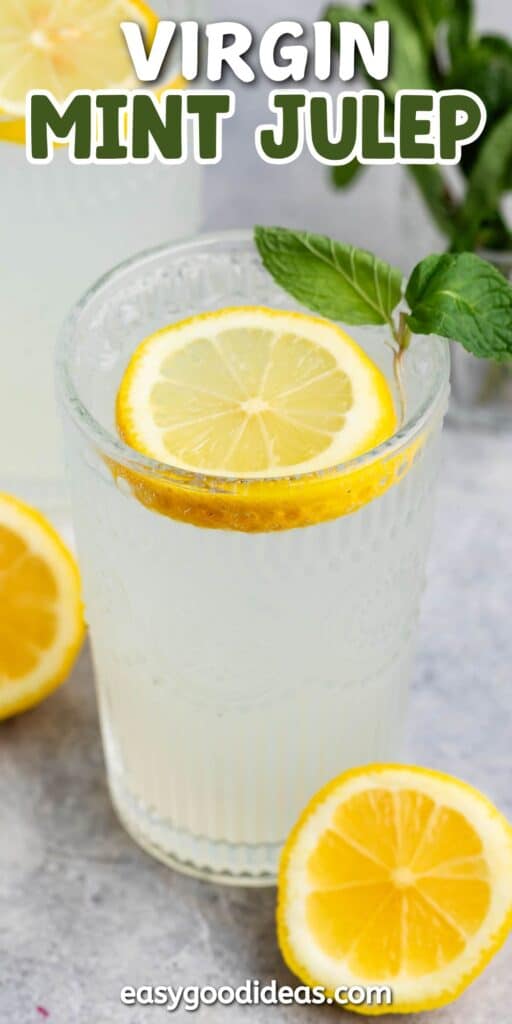 A glass of virgin mint julep garnished with a slice of lemon and a sprig of mint. A lemon slice is on the side, and the background shows another glass. The text VIRGIN MINT JULEP is at the top, and easygoodideas.com is at the bottom.