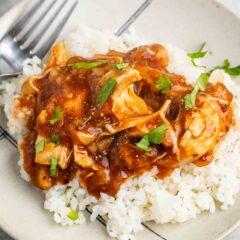 A plate of white rice topped with saucy, shredded chicken garnished with chopped herbs. A fork is placed on the plate, and a striped cloth is partially visible in the background.