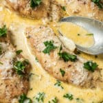 Close-up of creamy garlic chicken in a skillet. The dish features chicken breasts in a rich, creamy sauce with sliced garlic and garnished with fresh parsley. A silver serving spoon rests to the side.