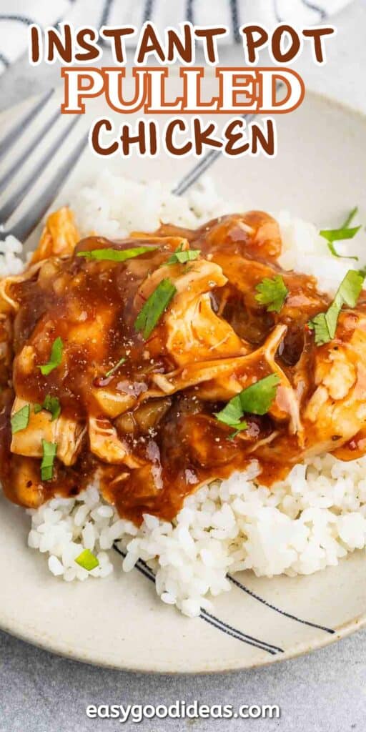 Plate of pulled chicken in a rich sauce served over white rice, garnished with fresh herbs. Text above reads Instant Pot Pulled Chicken. Website address at the bottom.