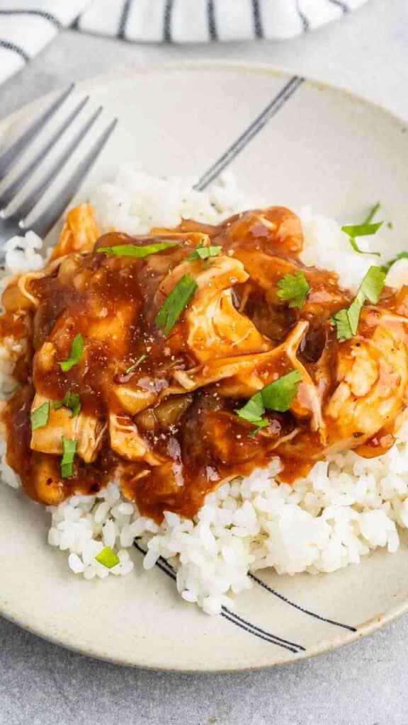 A plate of white rice topped with shredded chicken in a rich, brown sauce. The dish is garnished with chopped cilantro, and a fork is placed beside it. The plate rests on a light-colored surface.