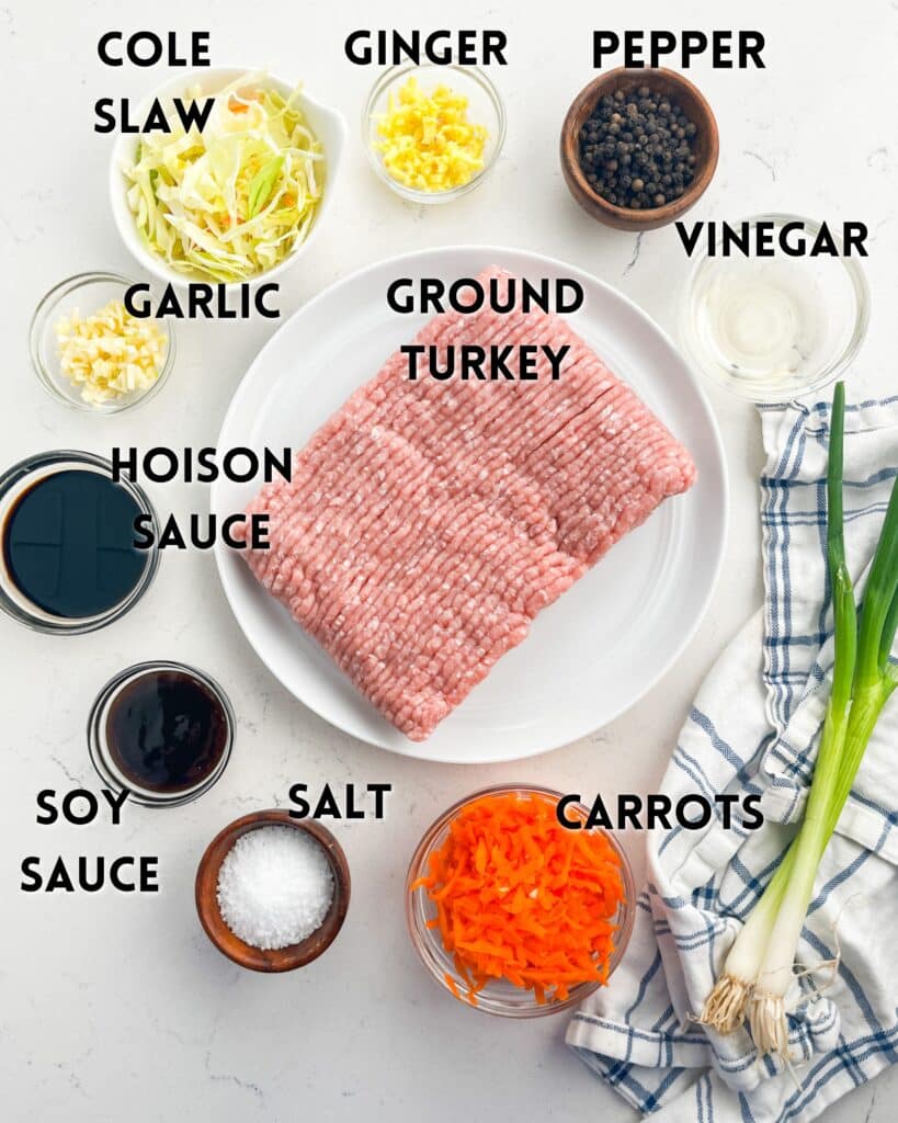 A plate of ground turkey surrounded by labeled ingredients: cole slaw, ginger, pepper, vinegar, garlic, hoisin sauce, soy sauce, salt, carrots, and green onions on a white countertop. A striped cloth is placed nearby.