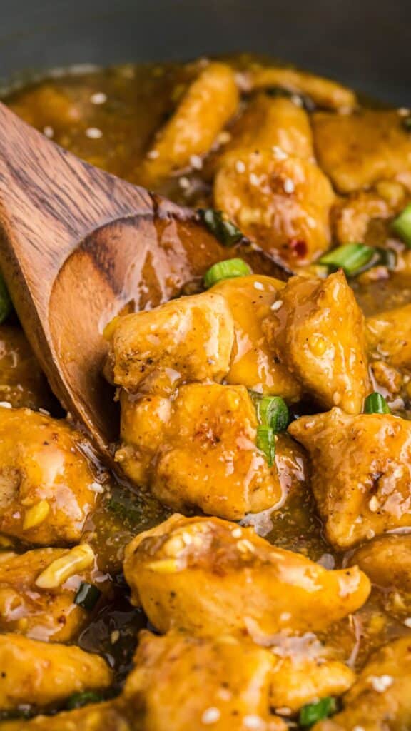 Close-up of a wooden spoon lifting saucy, golden-brown chicken pieces garnished with green onions and sesame seeds. The dish appears to be richly flavored, with a glossy texture, suggesting a savory glaze or sauce.