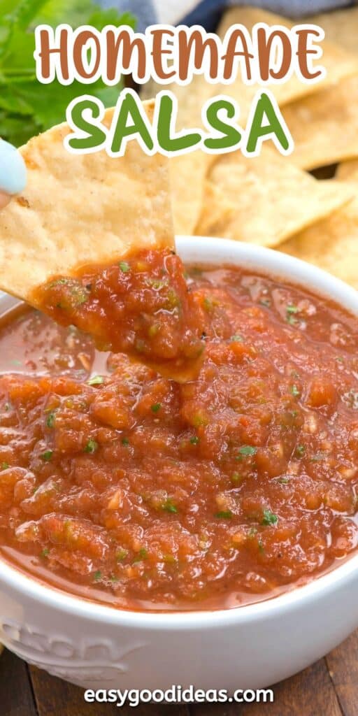 A tortilla chip being dipped into a bowl of chunky homemade salsa, with tortilla chips in the background and the words Homemade Salsa at the top.