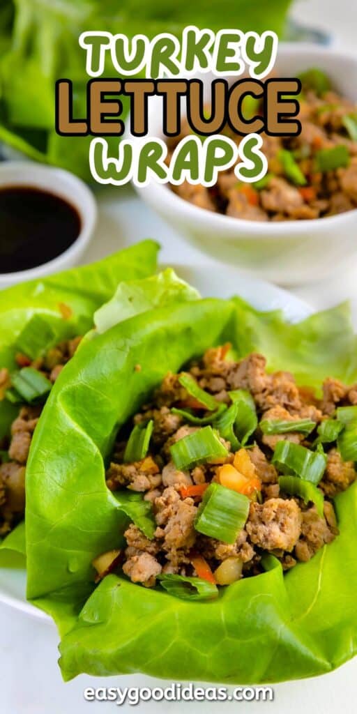 Close-up of turkey lettuce wraps filled with seasoned ground turkey, chopped vegetables, and green onions, served on green lettuce leaves with a bowl of sauce in the background. Text overlay reads Turkey Lettuce Wraps.
