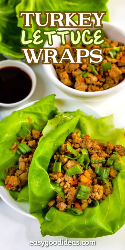 Two lettuce wraps filled with ground turkey, chopped vegetables, and green onions on a white plate. In the background, a bowl with more turkey filling and a small dish of sauce are visible. Text reads Turkey Lettuce Wraps.