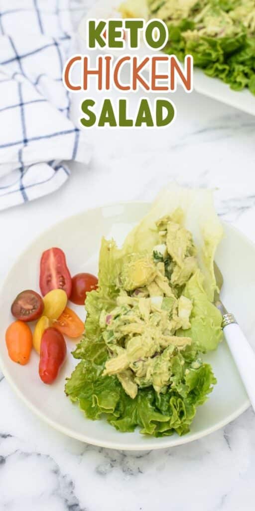A plate with keto chicken salad served on a lettuce leaf, accompanied by colorful grape tomatoes. A fork rests on the plate, and a blue-striped kitchen towel is visible in the background. Text reads Keto Chicken Salad.